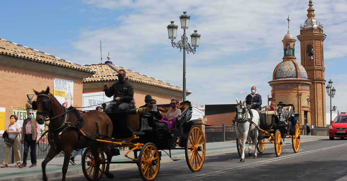 Guía - Paseo en coche de caballos
